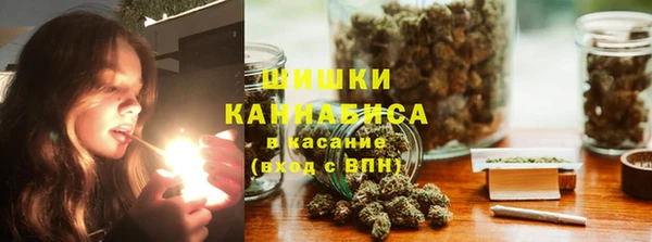 гидропоника Богданович