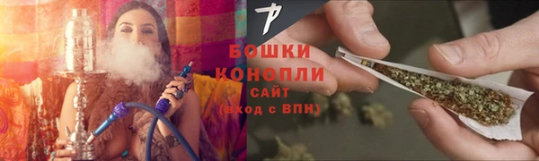 гидропоника Богданович