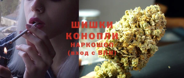 гидропоника Богданович