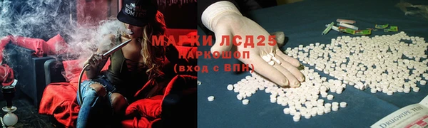 гидропоника Богданович